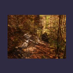 2012-10-20_Fall_AQUILA (038).JPG